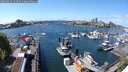 ./images/victoria/wharf/20250429/wharf20250429_133510M.jpg