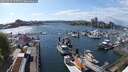 ./images/victoria/wharf/20250429/wharf20250429_155510M.jpg