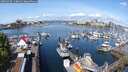./images/victoria/wharf/20250430/wharf20250430_110010M.jpg