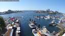./images/victoria/wharf/20250501/wharf20250501_144010M.jpg