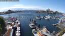 ./images/victoria/wharf/20250502/wharf20250502_150011M.jpg