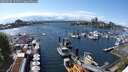 ./images/victoria/wharf/20250502/wharf20250502_151510M.jpg