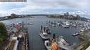 ./images/victoria/wharf/20250503/wharf20250503_143510M.jpg