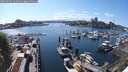 ./images/victoria/wharf/20250504/wharf20250504_162010M.jpg