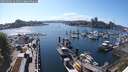 ./images/victoria/wharf/20250504/wharf20250504_164011M.jpg