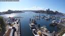 ./images/victoria/wharf/20250504/wharf20250504_164511M.jpg