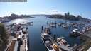 ./images/victoria/wharf/20250504/wharf20250504_170011M.jpg