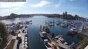 ./images/victoria/wharf/20250505/wharf20250505_170509M.jpg