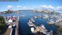 ./images/victoria/wharf/20250508/wharf20250508_100509M.jpg