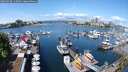 ./images/victoria/wharf/20250508/wharf20250508_115008M.jpg