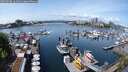 ./images/victoria/wharf/20250508/wharf20250508_124510M.jpg