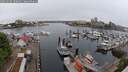 ./images/victoria/wharf/20250510/wharf20250510_100011M.jpg