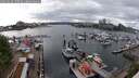 ./images/victoria/wharf/20250510/wharf20250510_170510M.jpg