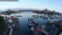 ./images/victoria/wharf/20250512/wharf20250512_055009M.jpg