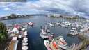 ./images/victoria/wharf/20250512/wharf20250512_110011M.jpg