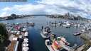 ./images/victoria/wharf/20250512/wharf20250512_135011M.jpg