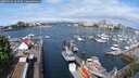 ./images/victoria/wharf/20250514/wharf20250514_104009M.jpg