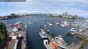 ./images/victoria/wharf/20250514/wharf20250514_114510M.jpg