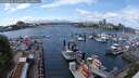 ./images/victoria/wharf/20250514/wharf20250514_140011M.jpg
