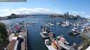 ./images/victoria/wharf/20250514/wharf20250514_145010M.jpg