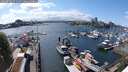 ./images/victoria/wharf/20250514/wharf20250514_151010M.jpg