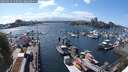 ./images/victoria/wharf/20250514/wharf20250514_153510M.jpg