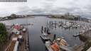 ./images/victoria/wharf/20250516/wharf20250516_133012M.jpg