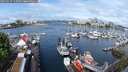 ./images/victoria/wharf/20250517/wharf20250517_110510M.jpg