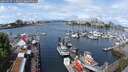 ./images/victoria/wharf/20250517/wharf20250517_112010M.jpg