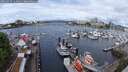 ./images/victoria/wharf/20250517/wharf20250517_114010M.jpg