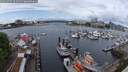 ./images/victoria/wharf/20250517/wharf20250517_121511M.jpg