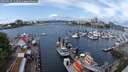 ./images/victoria/wharf/20250517/wharf20250517_124511M.jpg