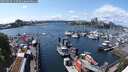 ./images/victoria/wharf/20250517/wharf20250517_143509M.jpg