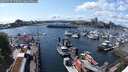 ./images/victoria/wharf/20250517/wharf20250517_150510M.jpg