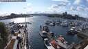 ./images/victoria/wharf/20250517/wharf20250517_165010M.jpg
