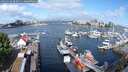 ./images/victoria/wharf/20250518/wharf20250518_093510M.jpg