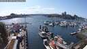 ./images/victoria/wharf/20250518/wharf20250518_160509M.jpg