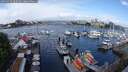 ./images/victoria/wharf/20250519/wharf20250519_105510M.jpg
