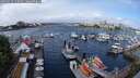 ./images/victoria/wharf/20250519/wharf20250519_110509M.jpg