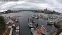 ./images/victoria/wharf/20250519/wharf20250519_162510M.jpg