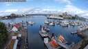./images/victoria/wharf/20250520/wharf20250520_103509M.jpg