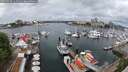 ./images/victoria/wharf/20250520/wharf20250520_112510M.jpg