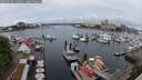 ./images/victoria/wharf/20250520/wharf20250520_115011M.jpg