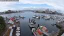./images/victoria/wharf/20250520/wharf20250520_120011M.jpg