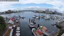 ./images/victoria/wharf/20250520/wharf20250520_120510M.jpg