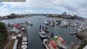 ./images/victoria/wharf/20250520/wharf20250520_140510M.jpg