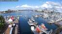 ./images/victoria/wharf/20250521/wharf20250521_095011M.jpg
