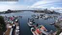 ./images/victoria/wharf/20250521/wharf20250521_140509M.jpg
