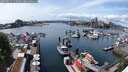 ./images/victoria/wharf/20250521/wharf20250521_142509M.jpg