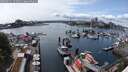 ./images/victoria/wharf/20250521/wharf20250521_145011M.jpg
